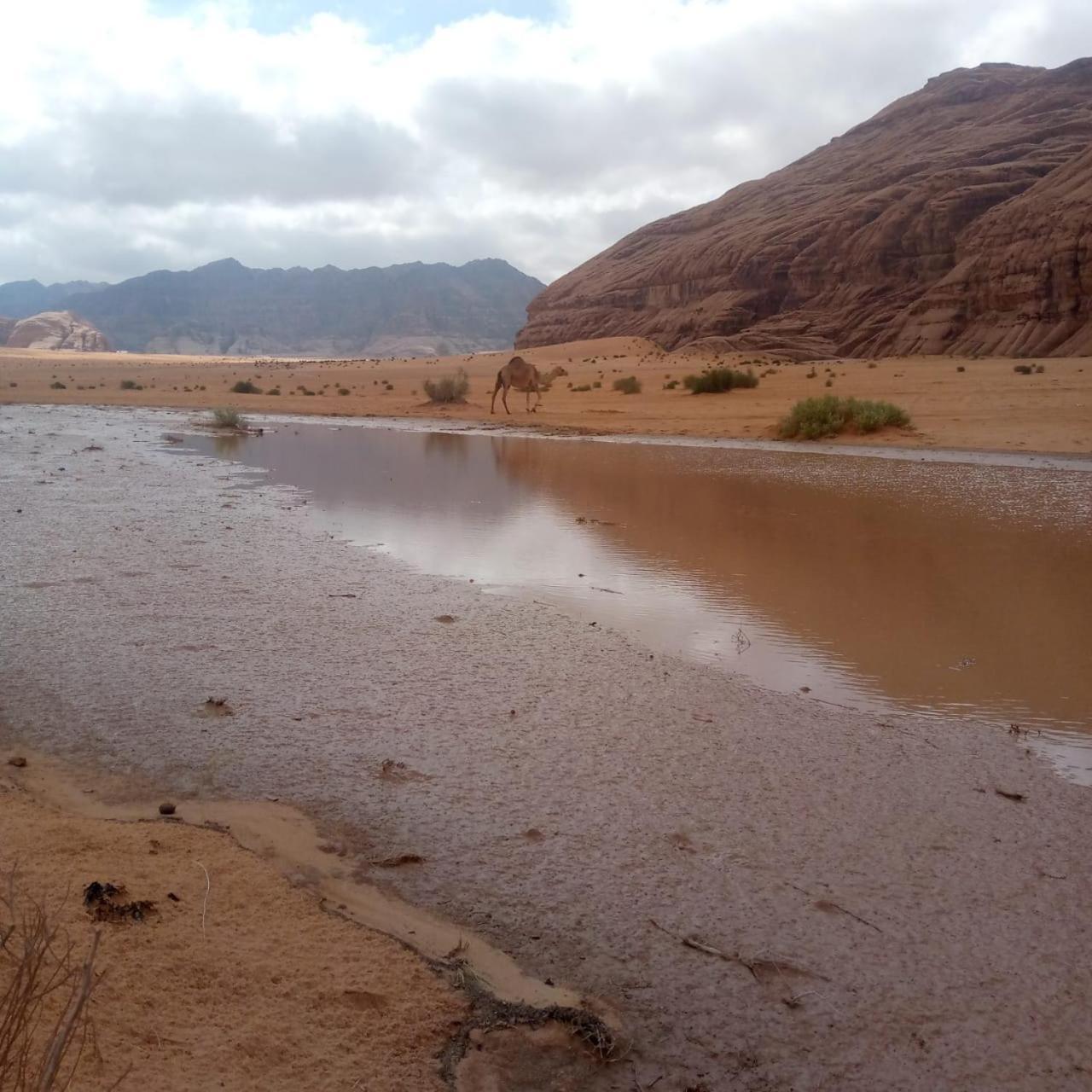 Hotel Talal Wadi Rum Esterno foto