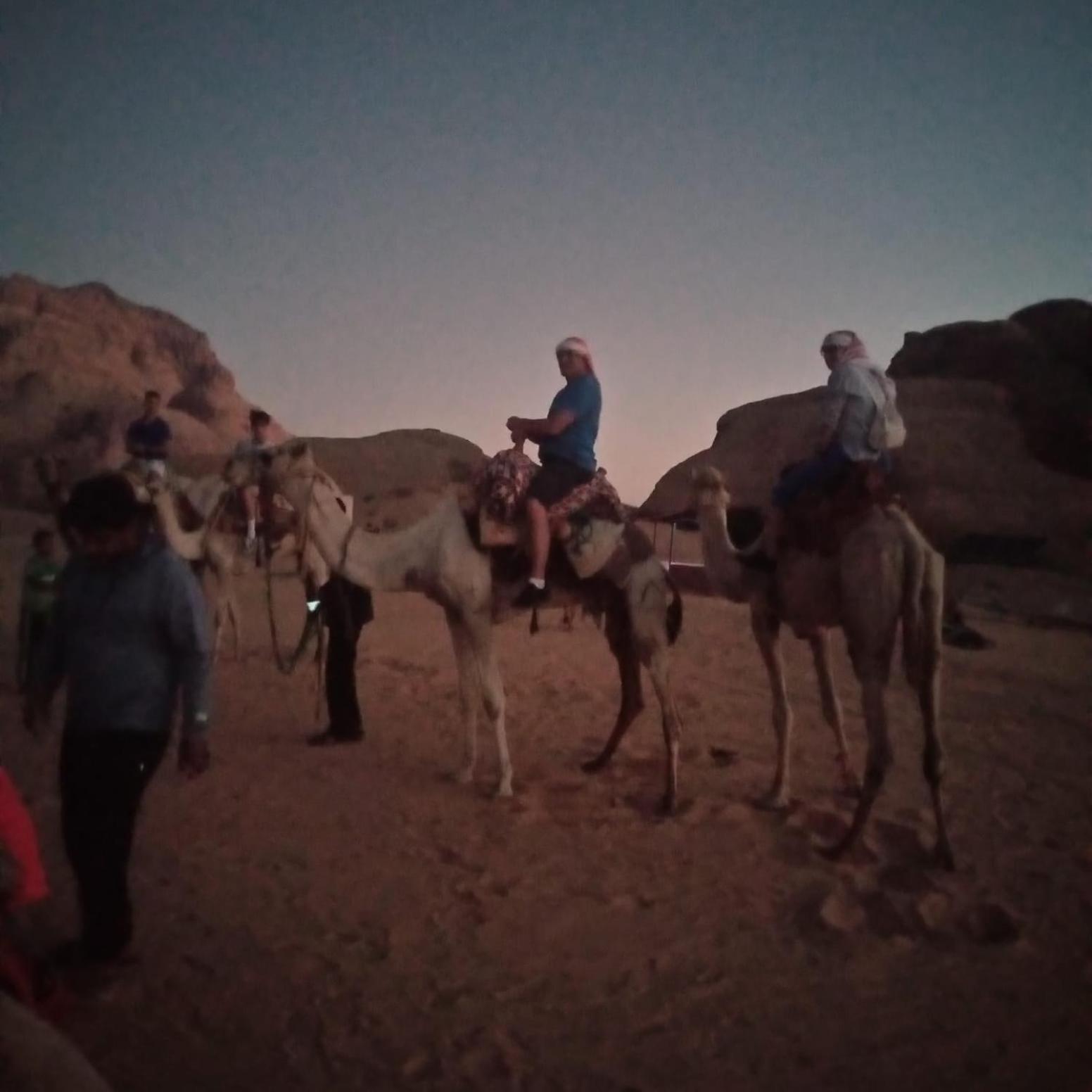 Hotel Talal Wadi Rum Esterno foto